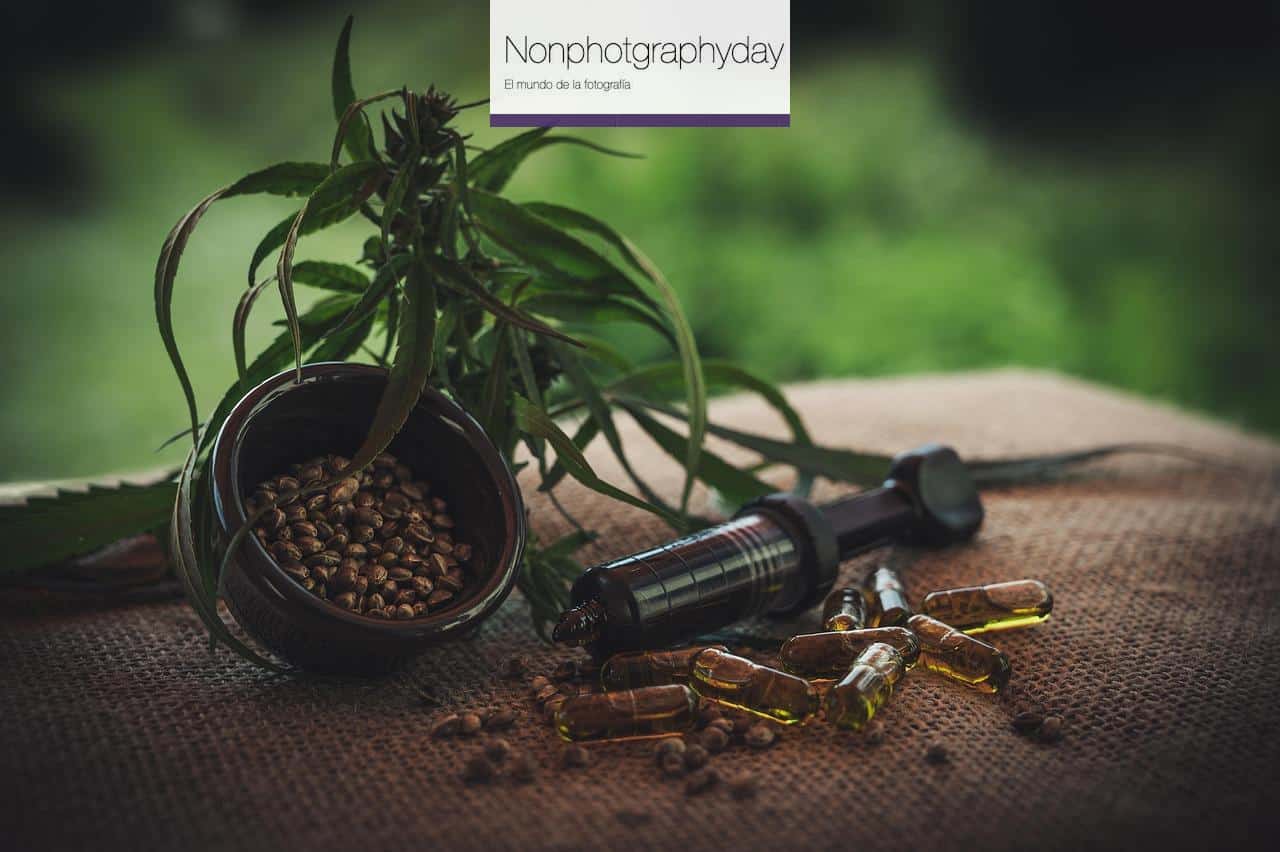 Función de los tricomas cbd en la planta de cannabis