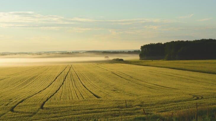 Checklist para visitar un terreno antes de comprar en España